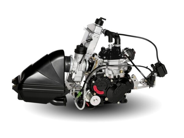 Rotax Max EVO